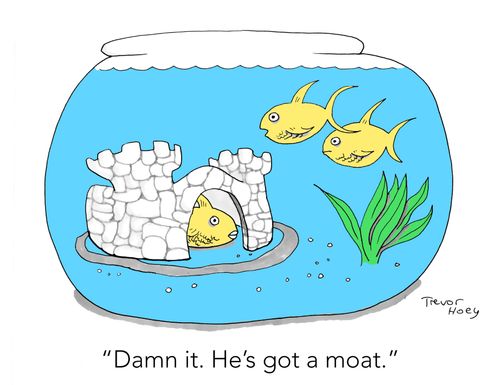 "Damn it. He's got a moat."