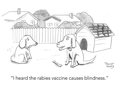 "I heard the rabies vaccine causes blindness."