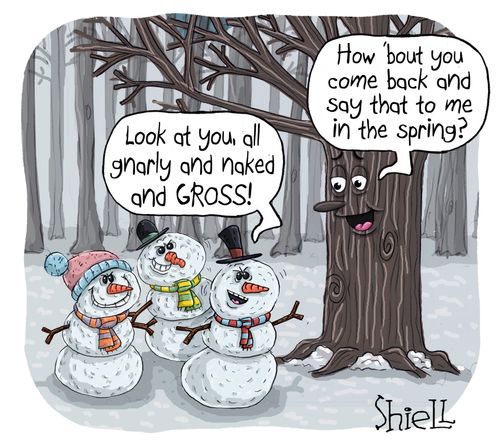 "Look at you, all gnarly and naked and gross!"