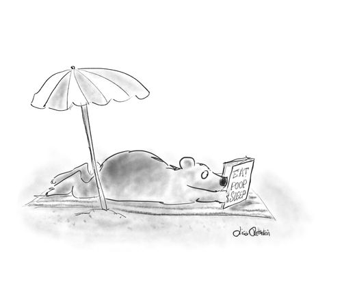 A bear reads 'Eat Poop Sleep' on the beach