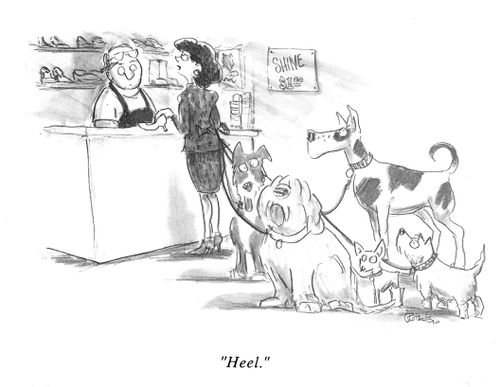 "Heel."