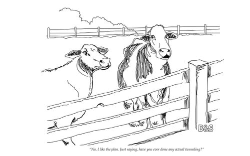 "No, I like the plan. Just saying, have you ever done any actual tunnelling?"