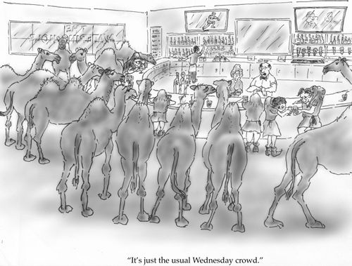 "It's just the usual Wednesday crowd."