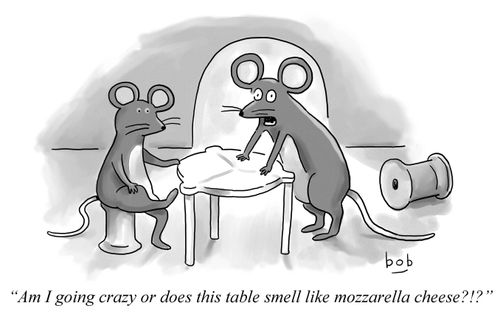 "Am I going crazy or does this table smell like mozzarella cheese?!?"
