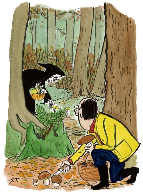 A forager encounters death in the woods