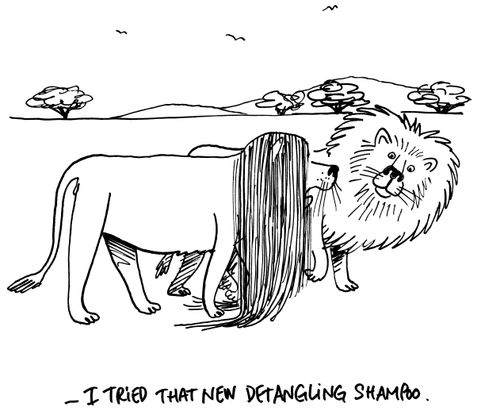 "I tried that new detangling shampoo."