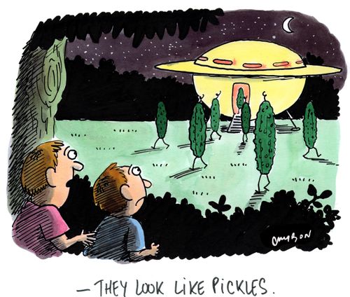"They look like pickles."