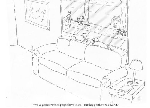 "We've got litter boxes, people have toilets - but they get the whole world."