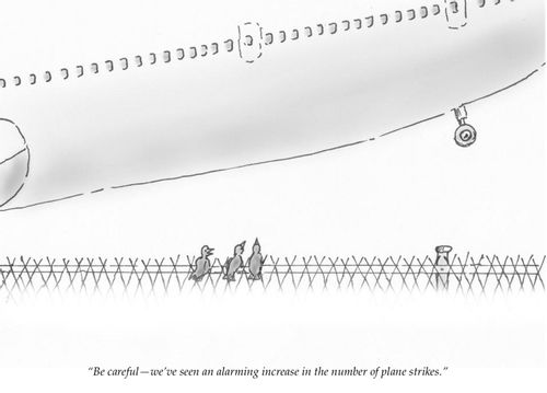 "Be careful - we've seen an alarming increase in the number of plane strikes."