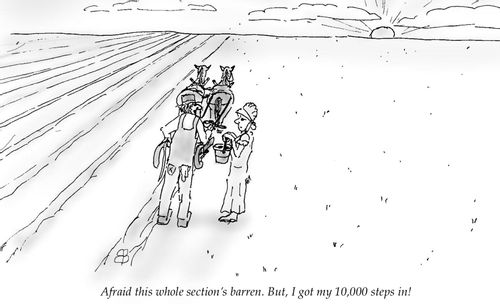 "Afraid this whole section's barren. But, I got my 10,000 steps in!"