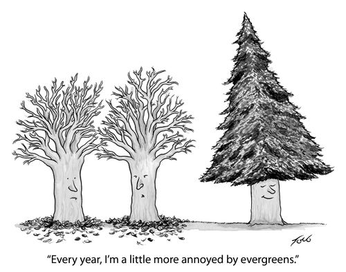 "Every year, I'm a little more annoyed by evergreens."