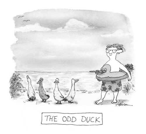 The Odd Duck