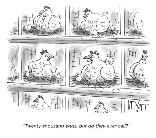 "Twenty-thousand eggs, but do they ever call?"