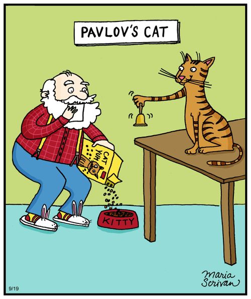 Pavlov's Cat