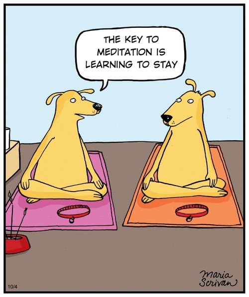 "The key to meditation is learning to stay."