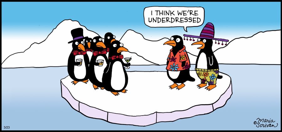 "I think we're underdressed."