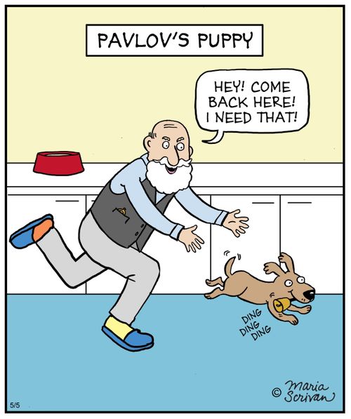 Pavlov's Puppy