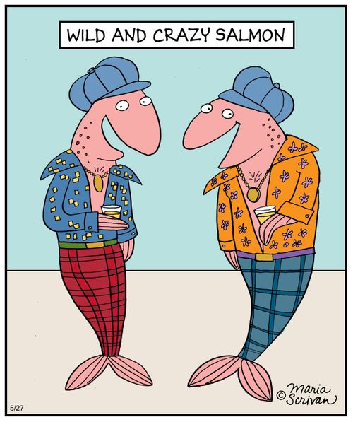 Wild and crazy salmon