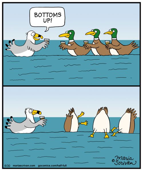 "Bottoms up."