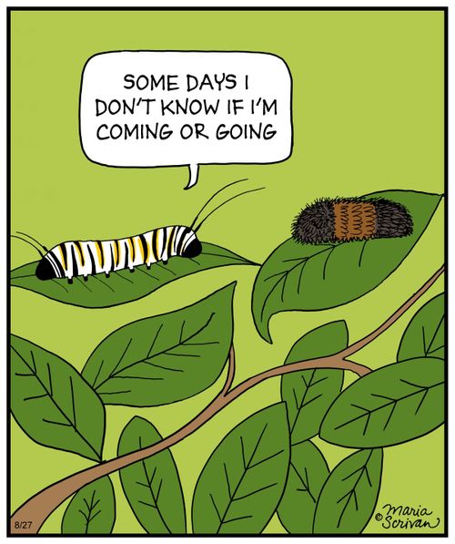 "Some days I don't know If I'm coming or going."