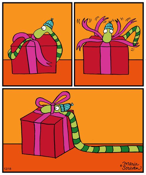 A snake attempts to wrap a present