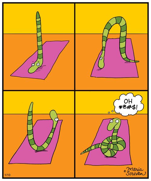 A snake tries yoga