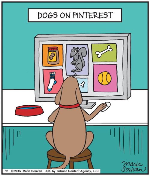 Dogs on Pinterest