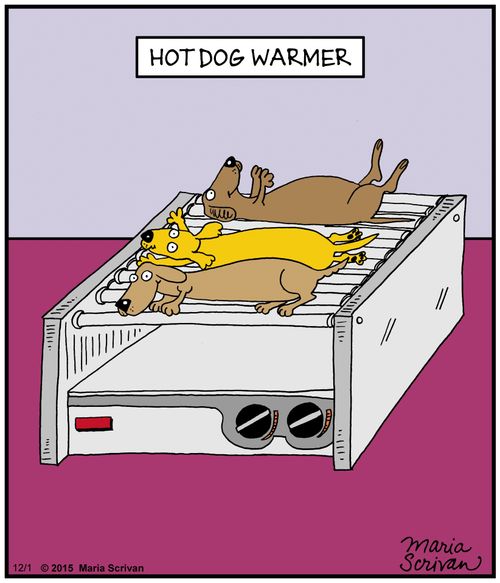 Hot dog warmer