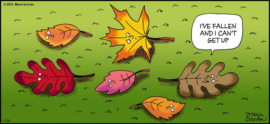 "I've fallen and I can't get up."