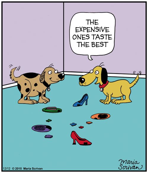 "The expensive ones taste the best."