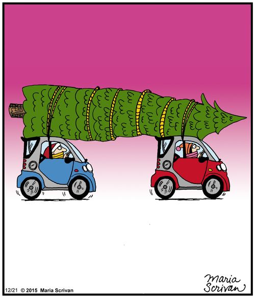 Two small cars carry a christmas tree