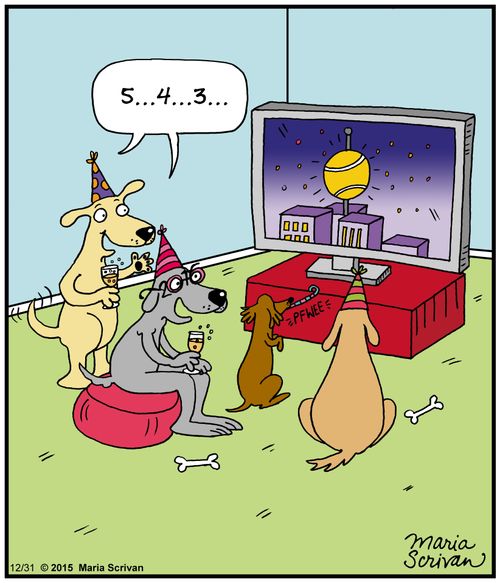 New Year's Eve party for dogs
