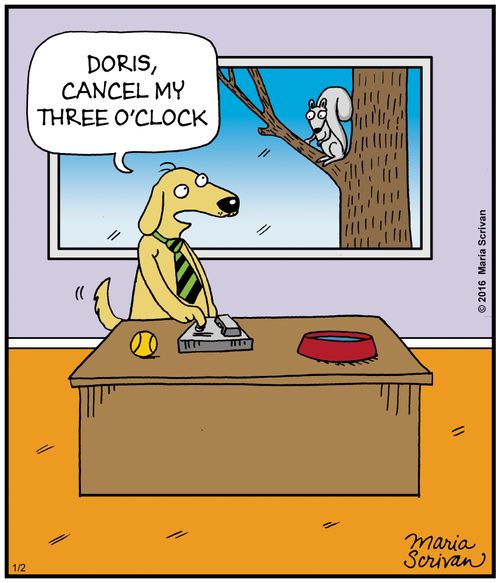 "Doris, cancel my three o'clock."