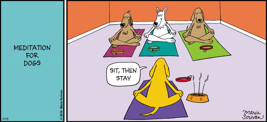 Meditation for dogs