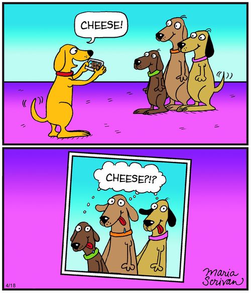 "Cheese!"