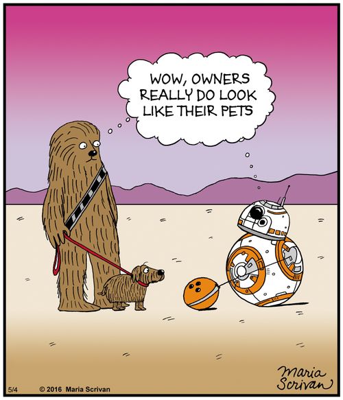 Wow, owners really do look like their pets.