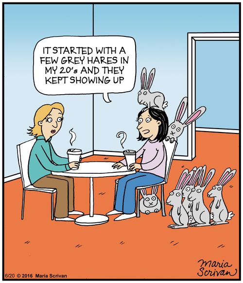 "It started with a few grey hares in my 20's and they kept showing up."