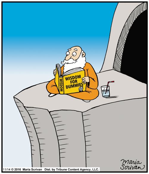 Wisdom for dummies