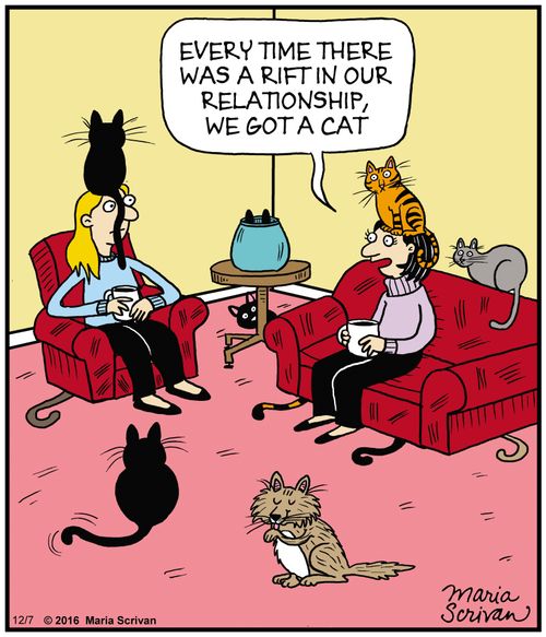 "Every time there was a rift in our relationship, we got a cat."