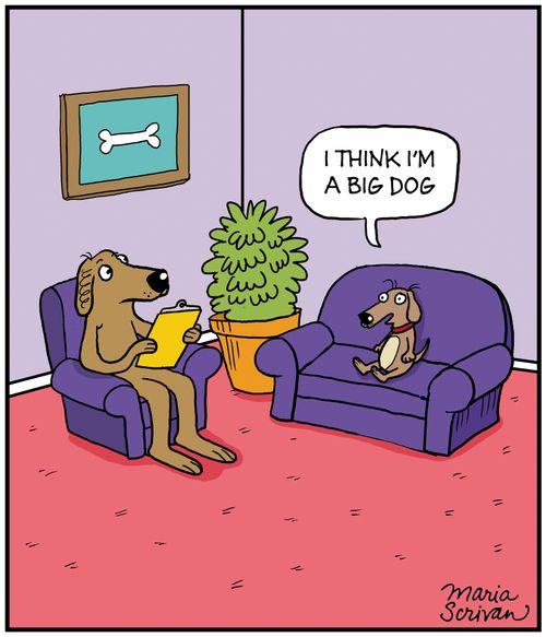 "I think I'm a big dog."