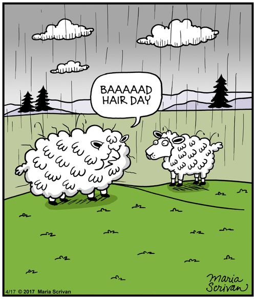 "Baaaad hair day."