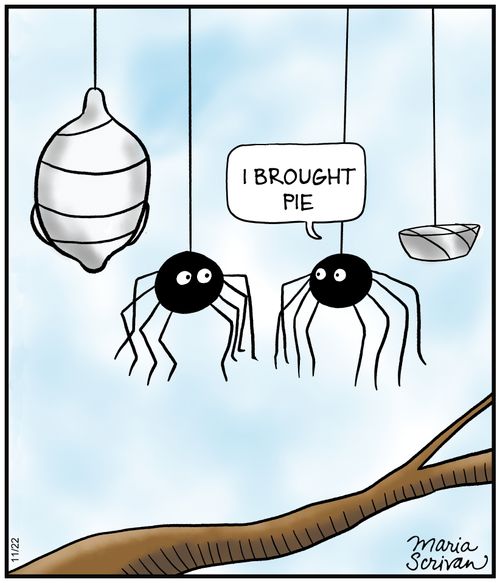 I brought pie