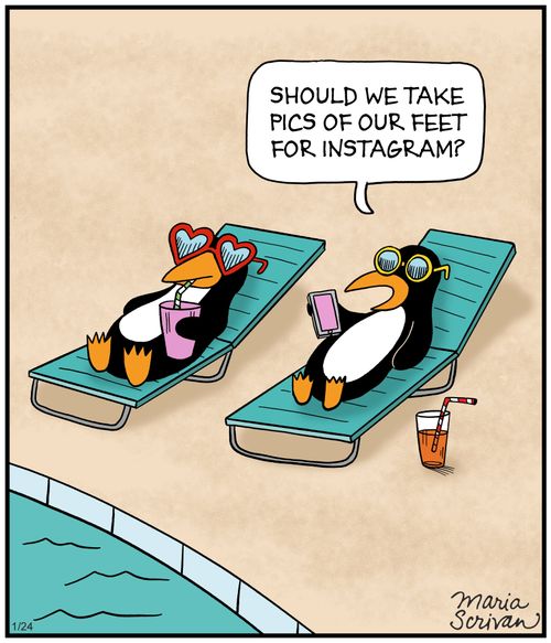 "Should we take pics of our feed for Instagram?"