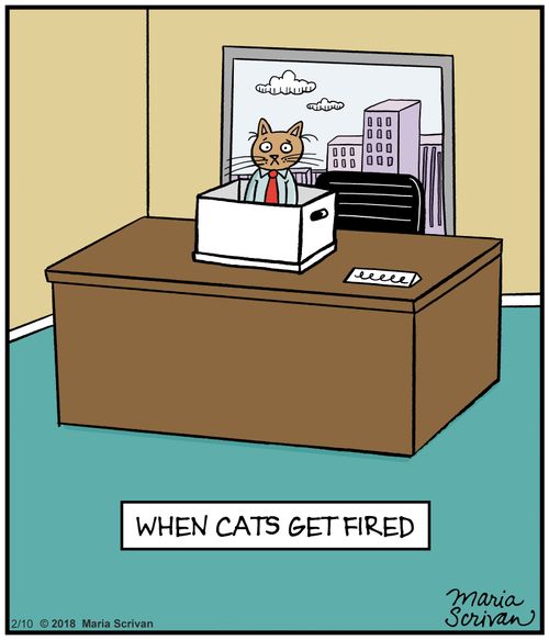 When cats get fired