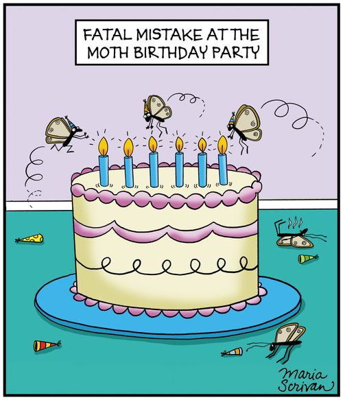 Fatal mistake at the moth birthday party
