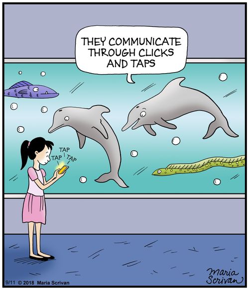 "They communicate through clicks and taps."