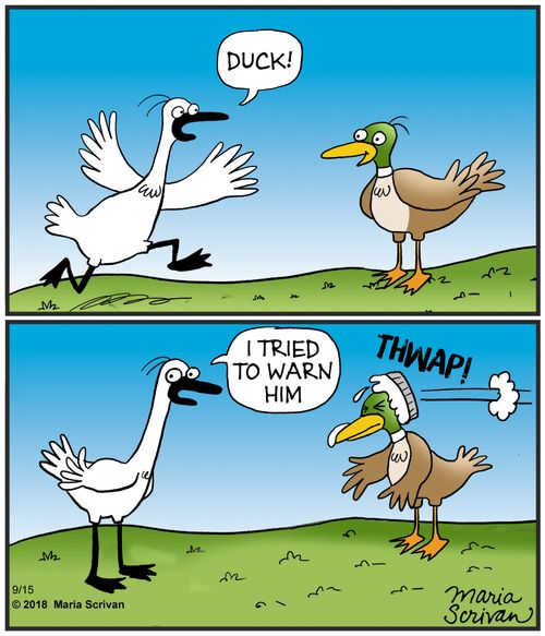 "Duck!.... I tried to warn him."