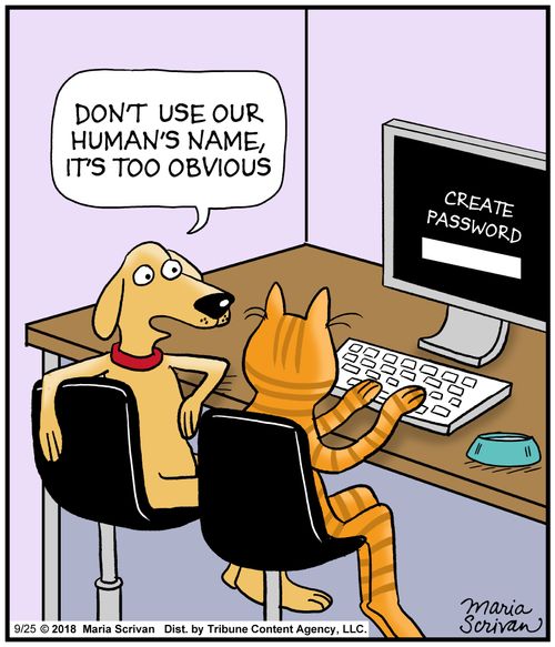"Don't use our human's name, it's too obvious."