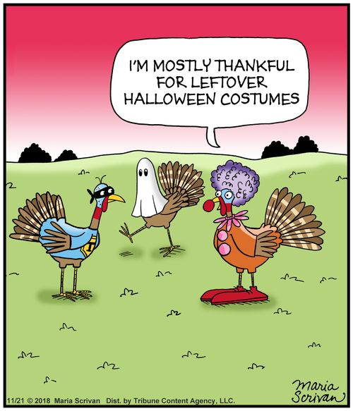 "I'm mostly thankful for leftover halloween costumes."