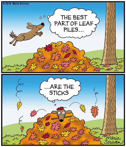 The best part of leaf piles... are the sticks.